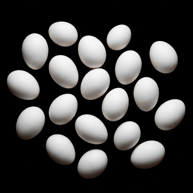 Scattered White Eggs
